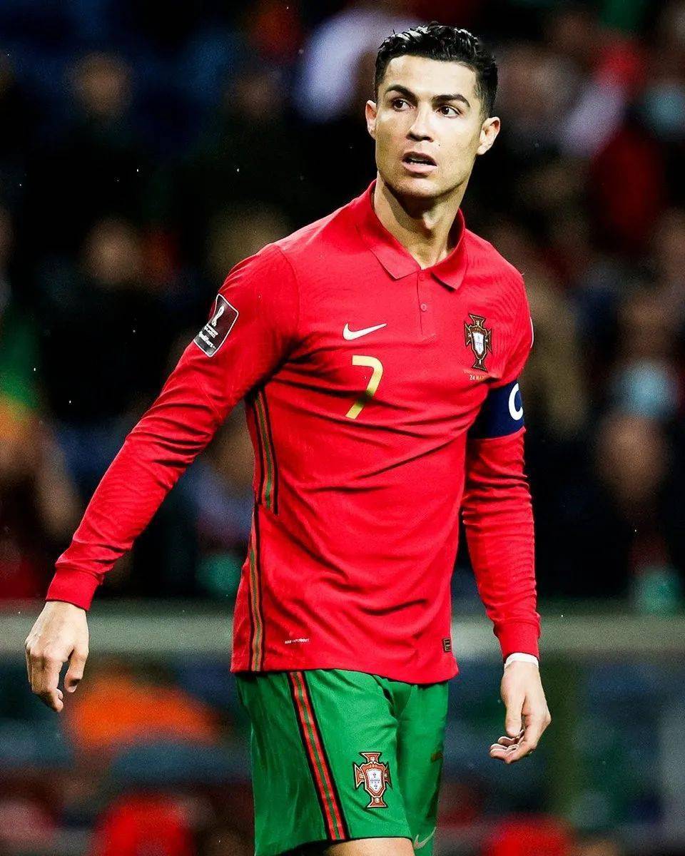 波波维奇的 波波维奇的