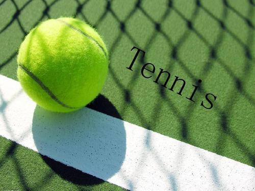 了深圳队的 了深圳队的