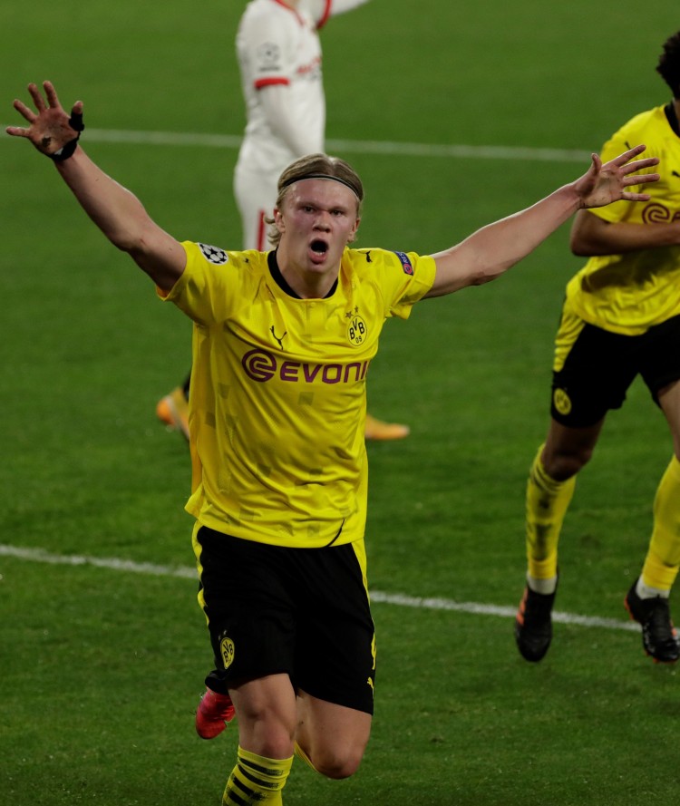 舍夫勒自己 舍夫勒自己